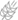 ����Ƽ�